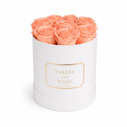 La classique in White box
