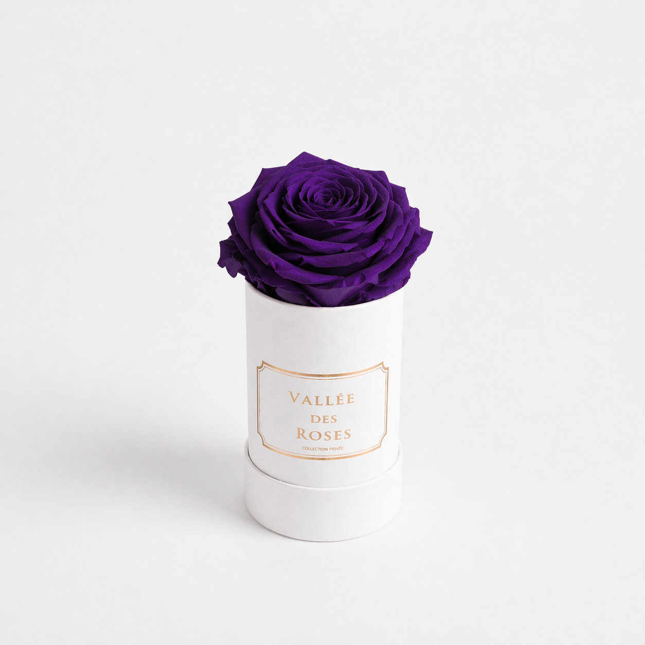 Singular La Bijou In White Box - Image 7