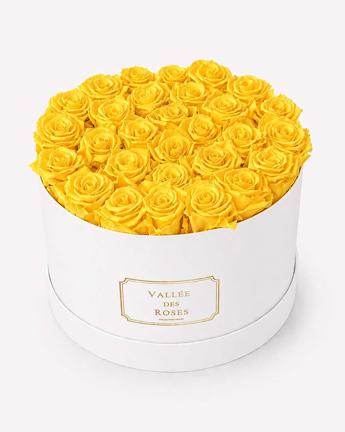 La Grande in white box
