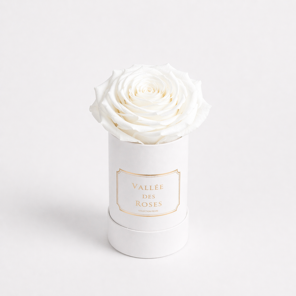 Singular La Bijou In White Box - Image 8