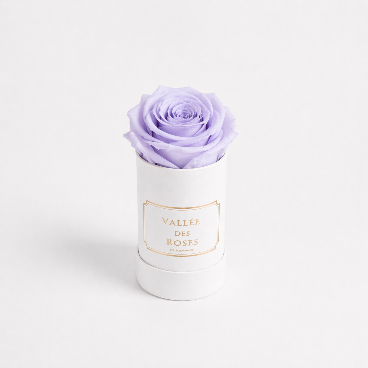 Le bijou in white box