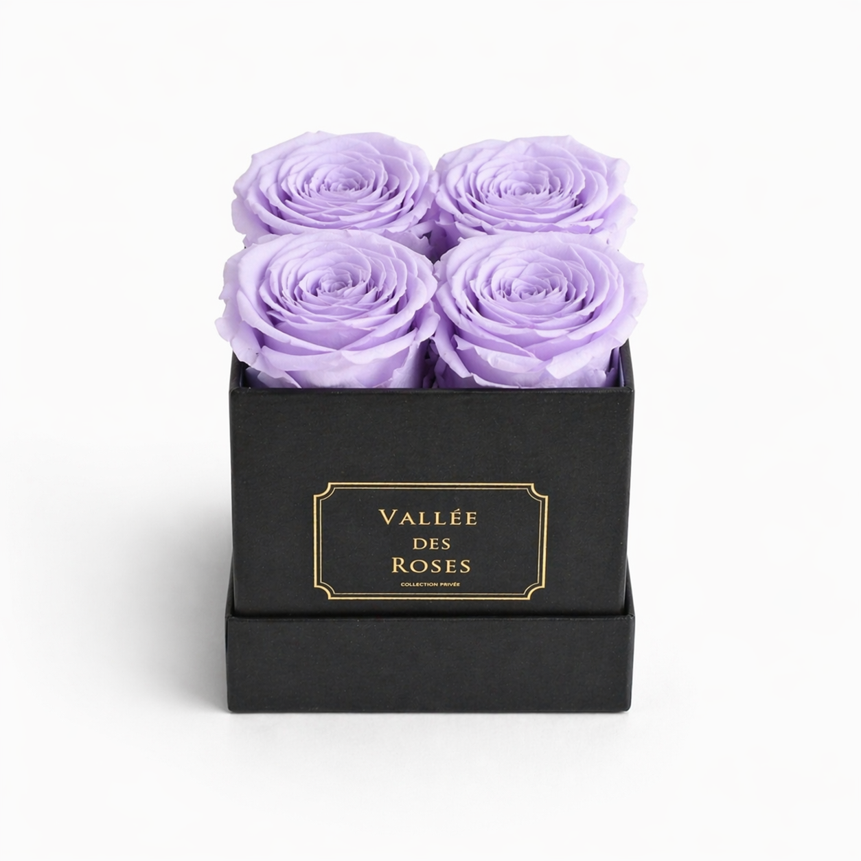 La Petite black box