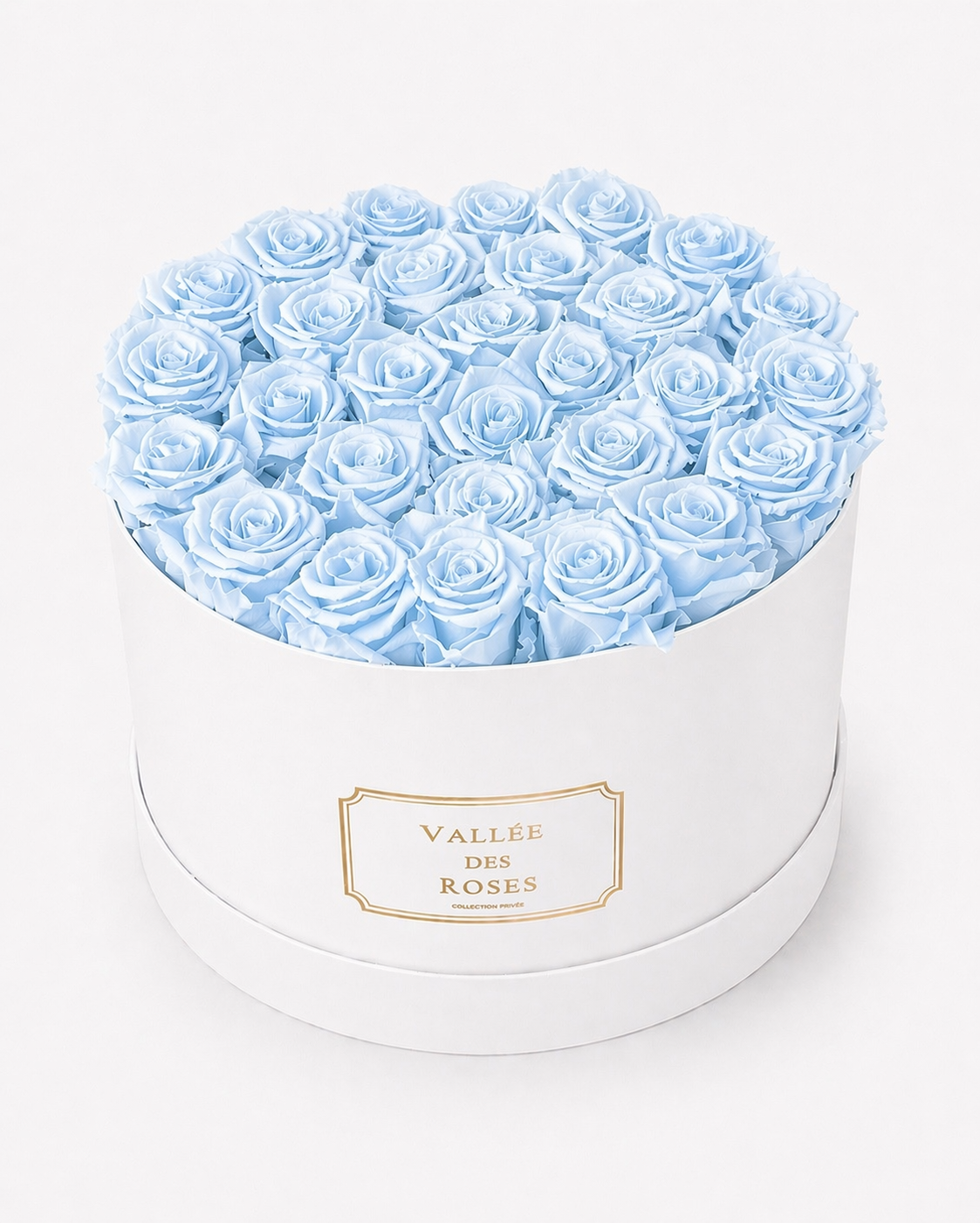 La Grande in white box