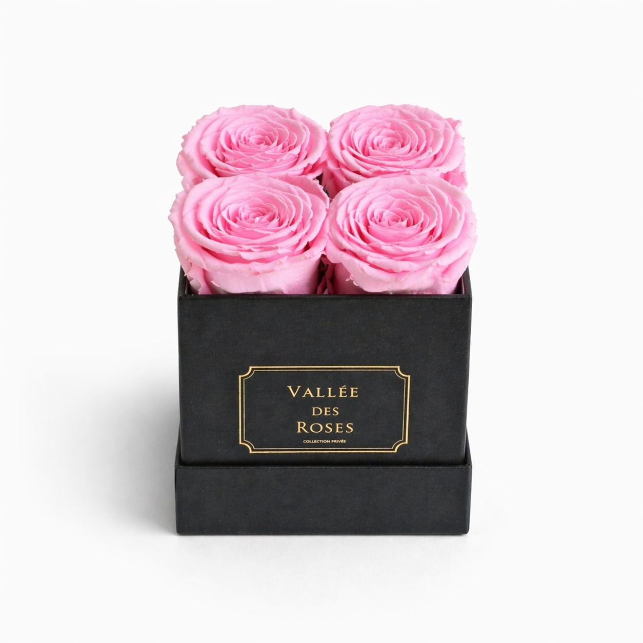 La Petite black box