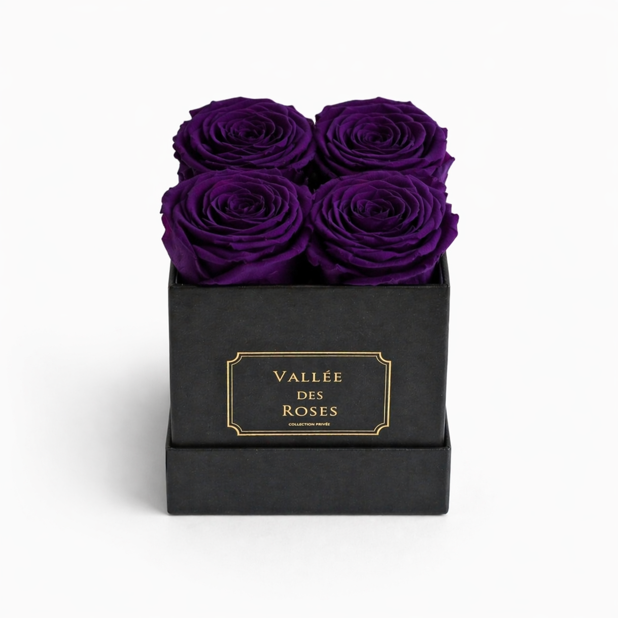 La Petite black box