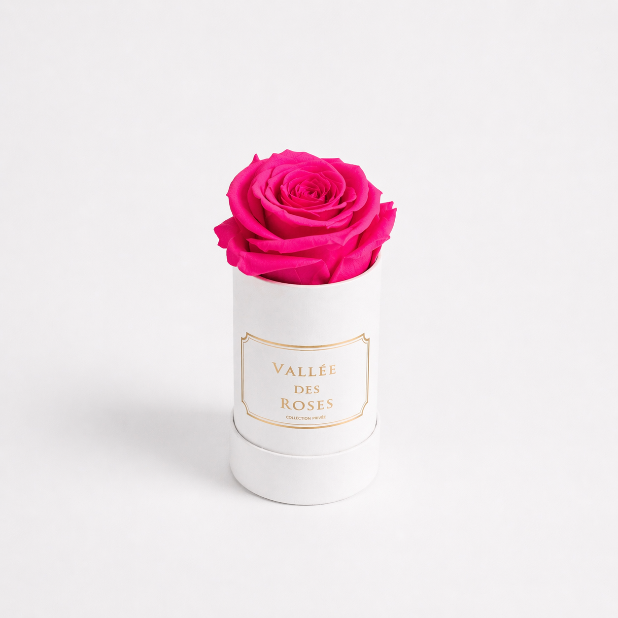 Singular La Bijou In White Box
