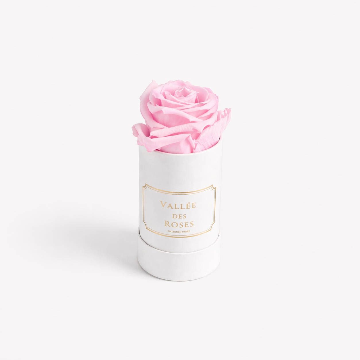 Le bijou in white box