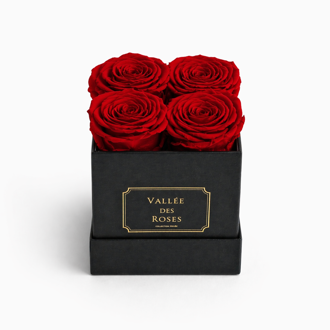 La Petite black box