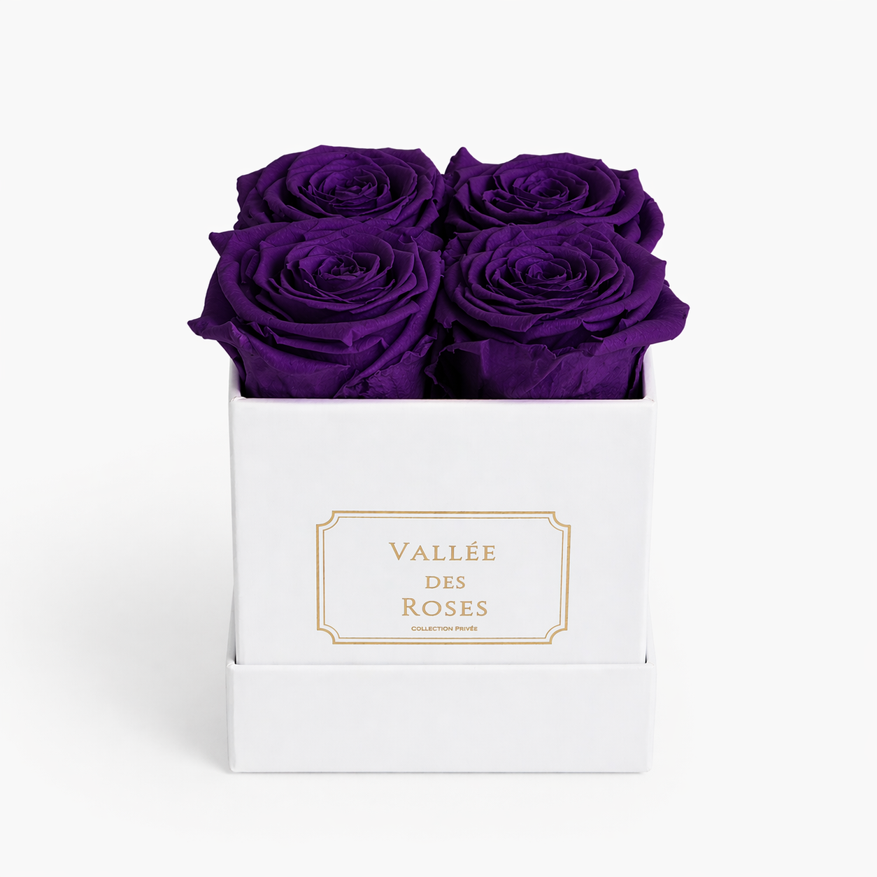 La Petite white box