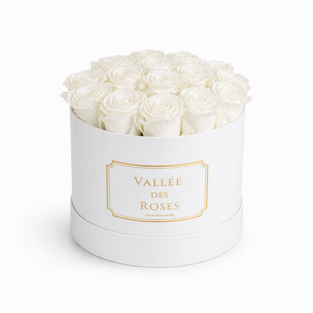 White box L’Ultime