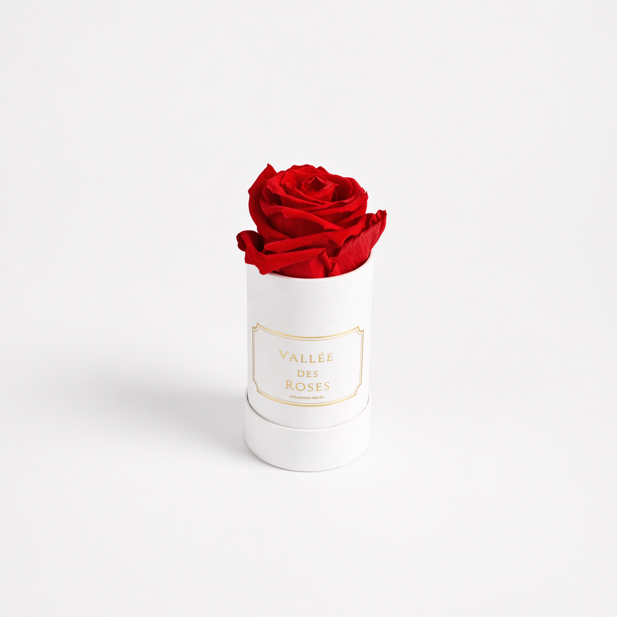 Singular La Bijou In White Box - Image 9