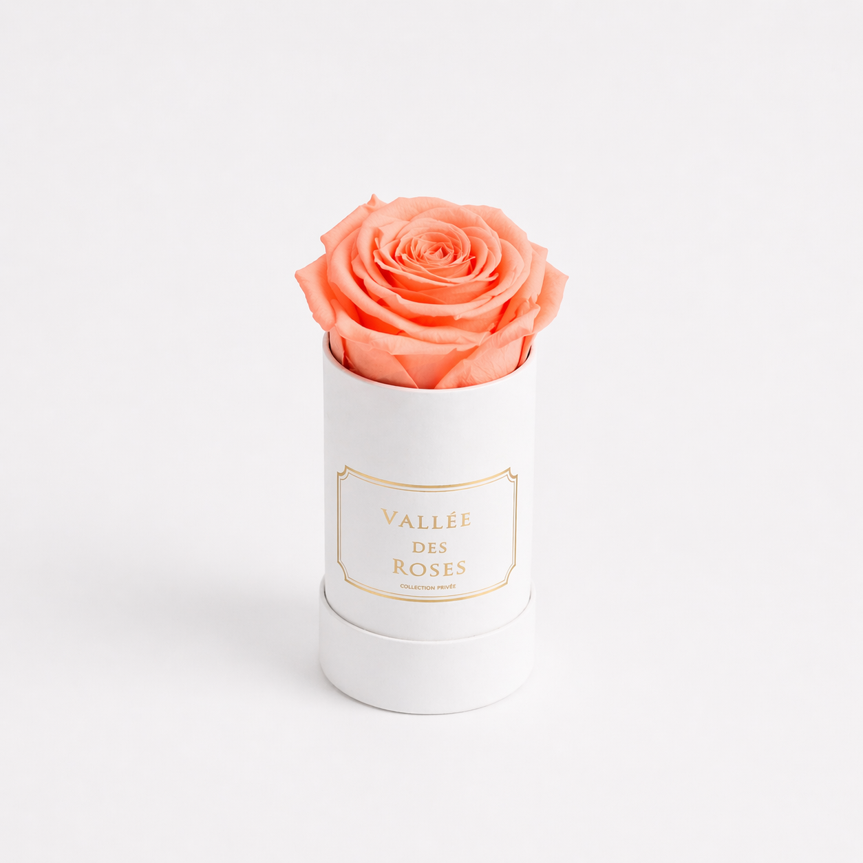 Singular La Bijou In White Box - Image 10