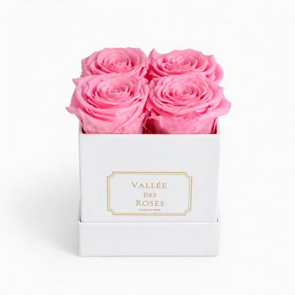 La Petite white box