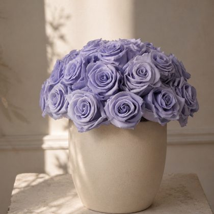 Les Petales en Porcelane Baby Lavander
